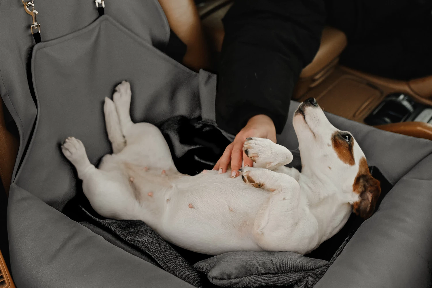 Toyota Highlander Dog Car Seat for Japanese Chin