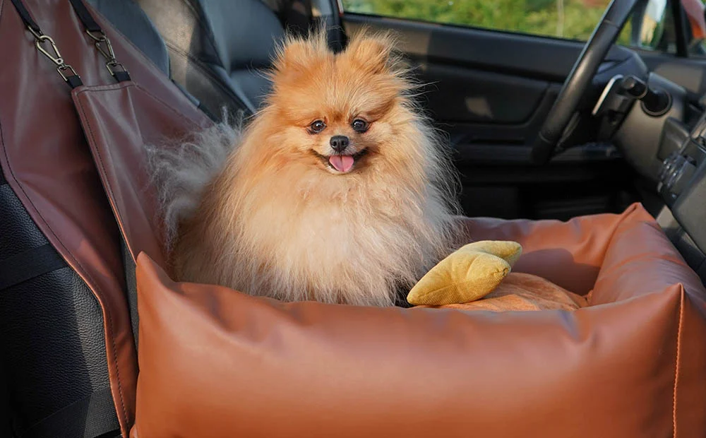 Chevrolet Malibu Dog Car Seat for Yorkshire Terriers