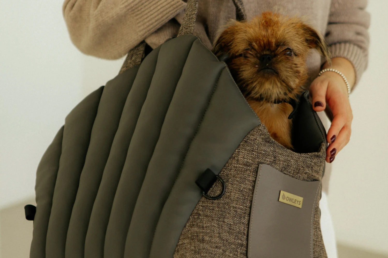 Cairn Terrier Dog Carrier Car Seat for Kia Optima