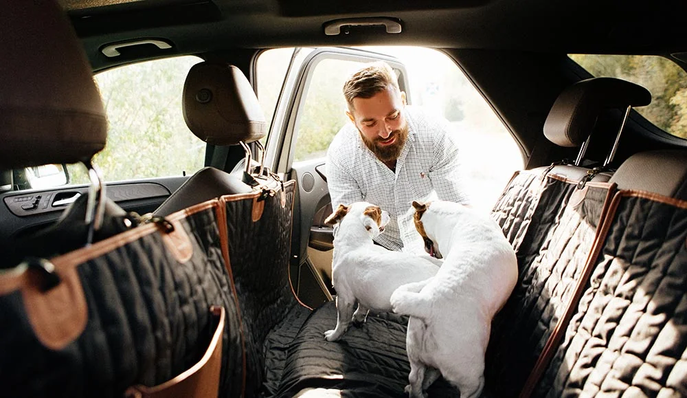 pet seat cover for Mazda3
