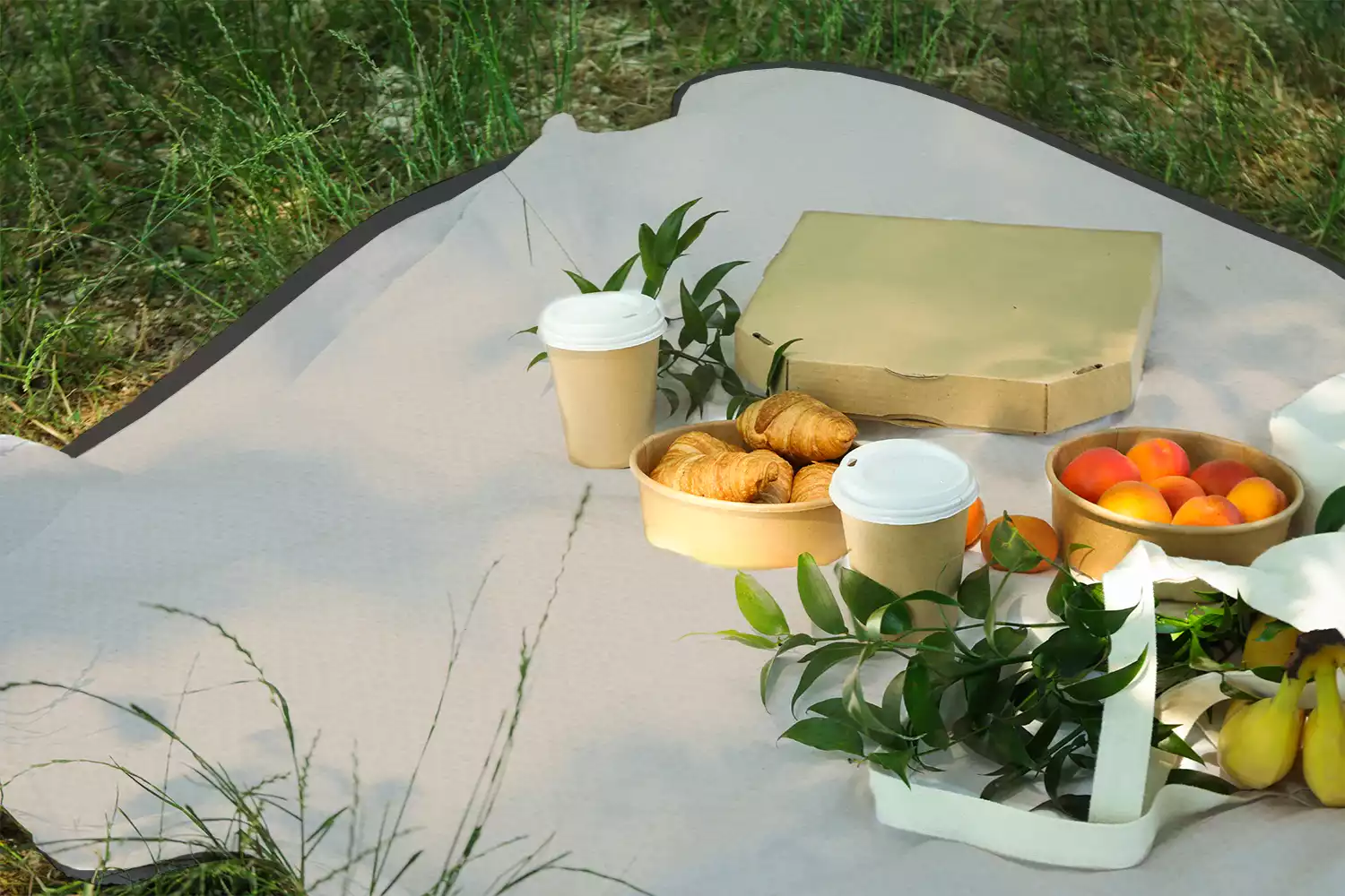 best blankets for picnics