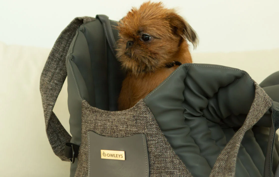 Dachshund Dog Carrier Car Seat for Tesla Model 3