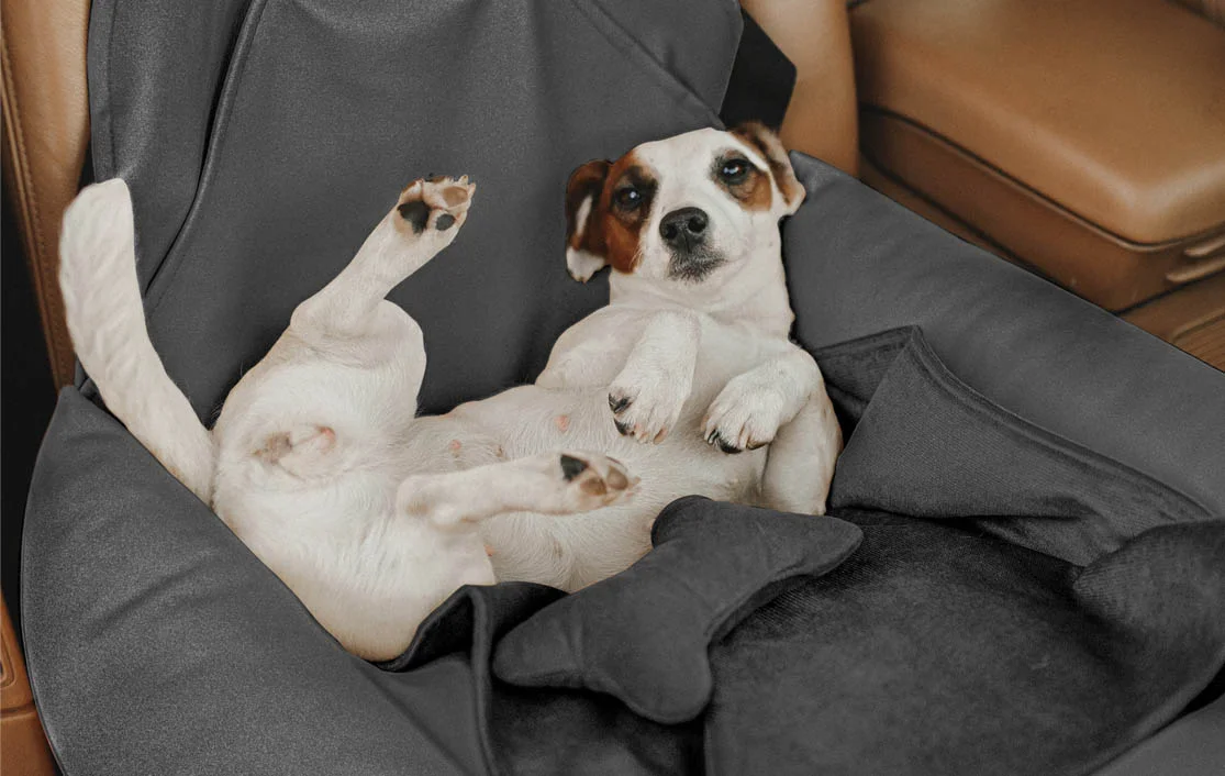 Fox Terriers Dog Car Seat for Hyundai Sonata