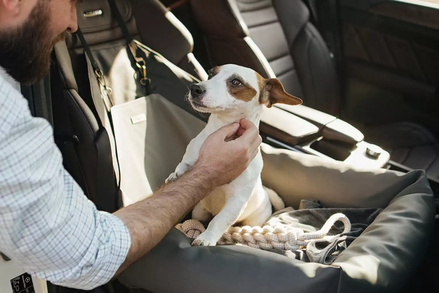 Chevrolet Malibu Dog Car Seat for Yorkshire Terriers