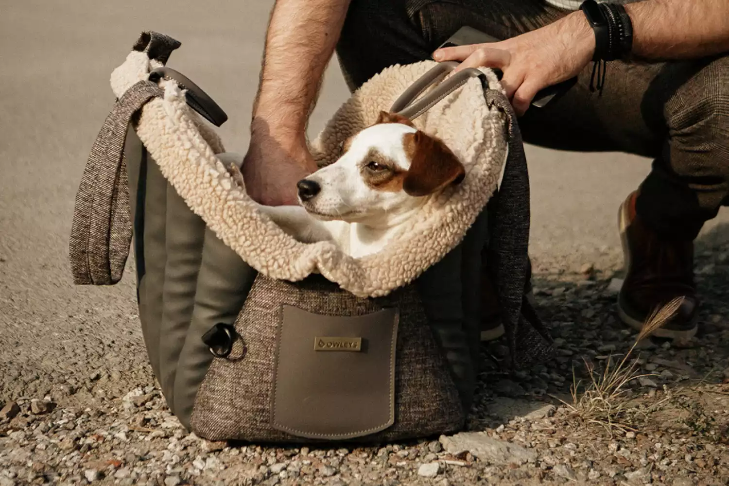 Dog Carrier Purse for Toy Alaskan Husky