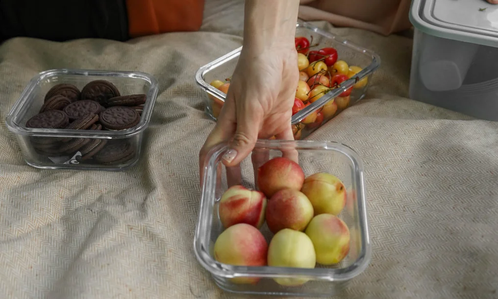 modern picnic blanket