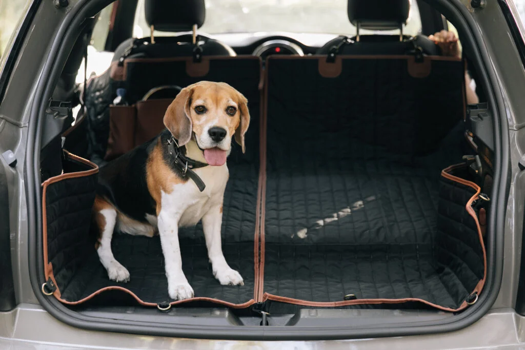 Miniature Pinschers back seat cover for Mercedes-Benz GLE