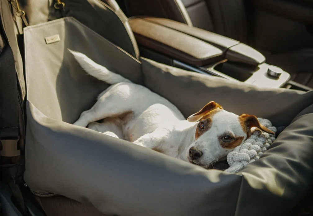 English Cocker Spaniels Dog Car Seat for Toyota Tacoma