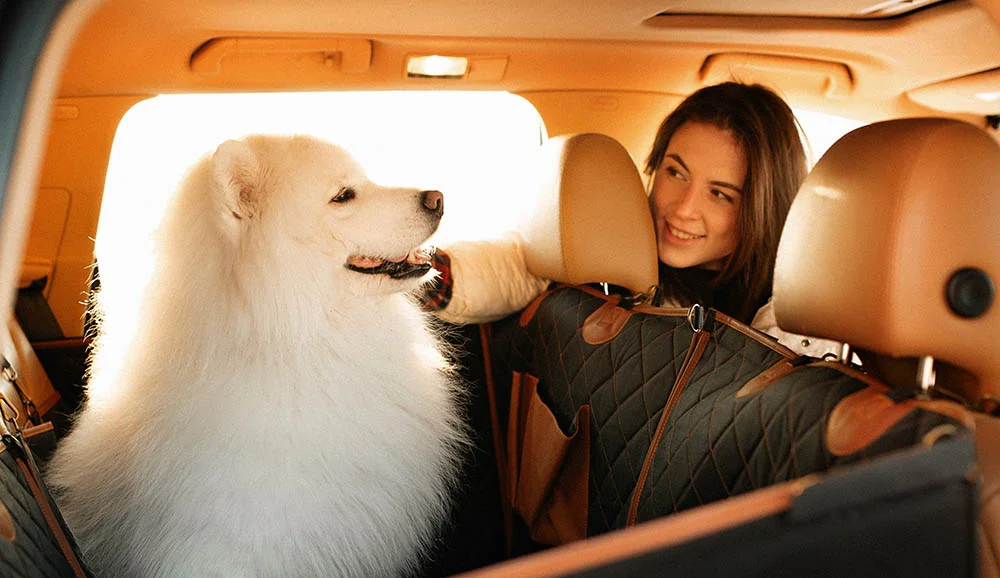 dog back seat cover for Nissan Maxima