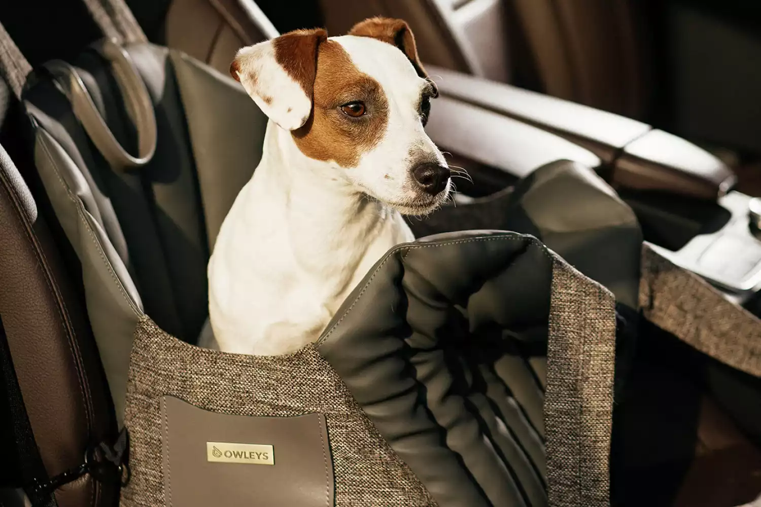Toyota Corolla Dog Carrier Car Seat for Toy Poodle
