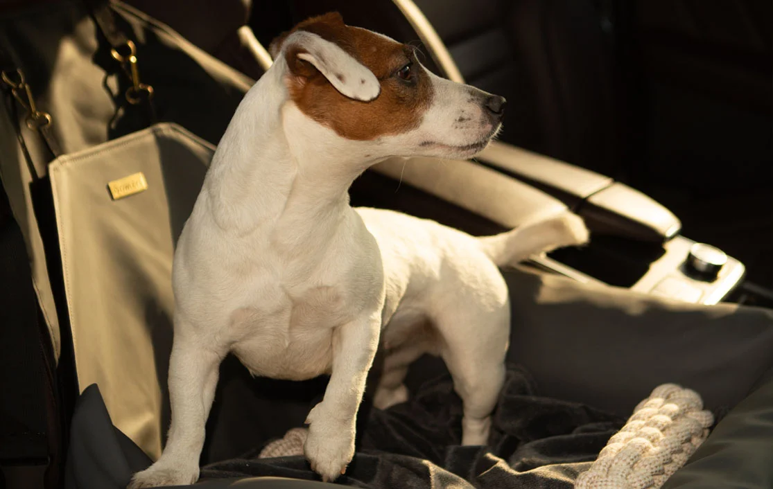 English Cocker Spaniels Dog Car Seat for Toyota Tacoma
